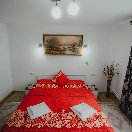 Casa Andreea Si Grigore Ursu Borşa エクステリア 写真
