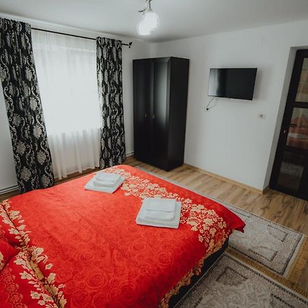 Casa Andreea Si Grigore Ursu Borşa エクステリア 写真
