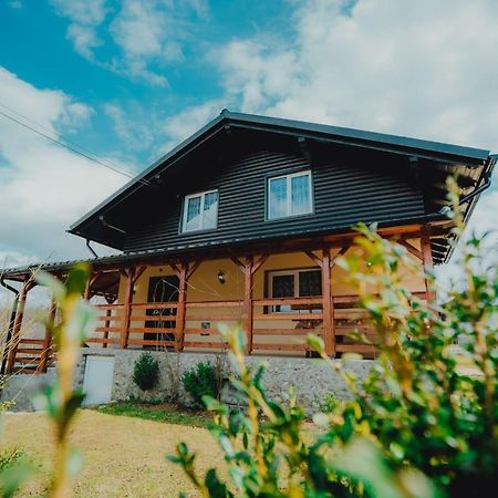 Casa Andreea Si Grigore Ursu Borşa エクステリア 写真