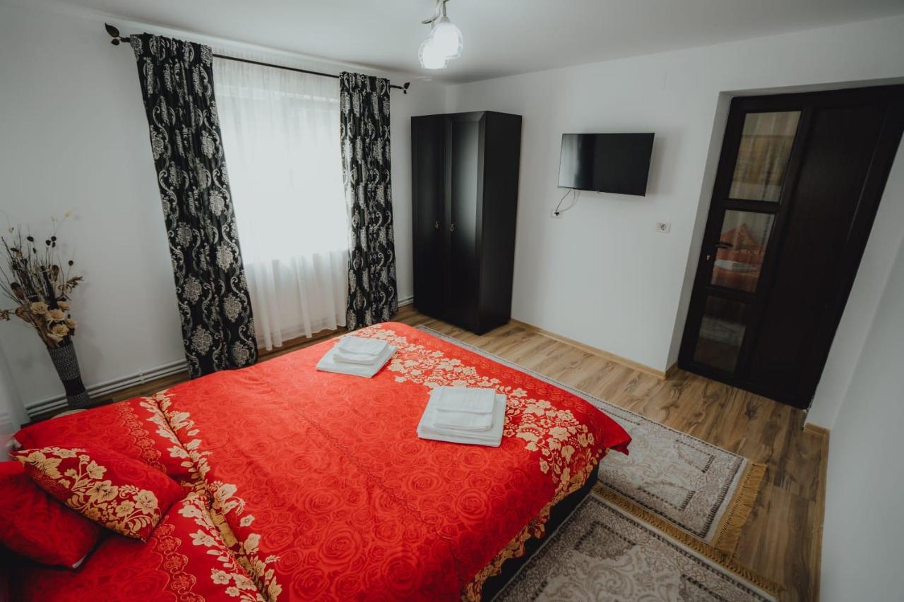 Casa Andreea Si Grigore Ursu Borşa エクステリア 写真