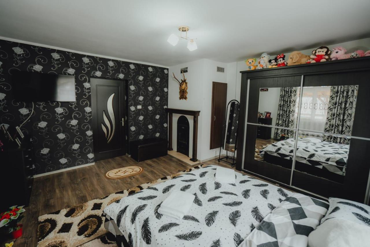 Casa Andreea Si Grigore Ursu Borşa エクステリア 写真