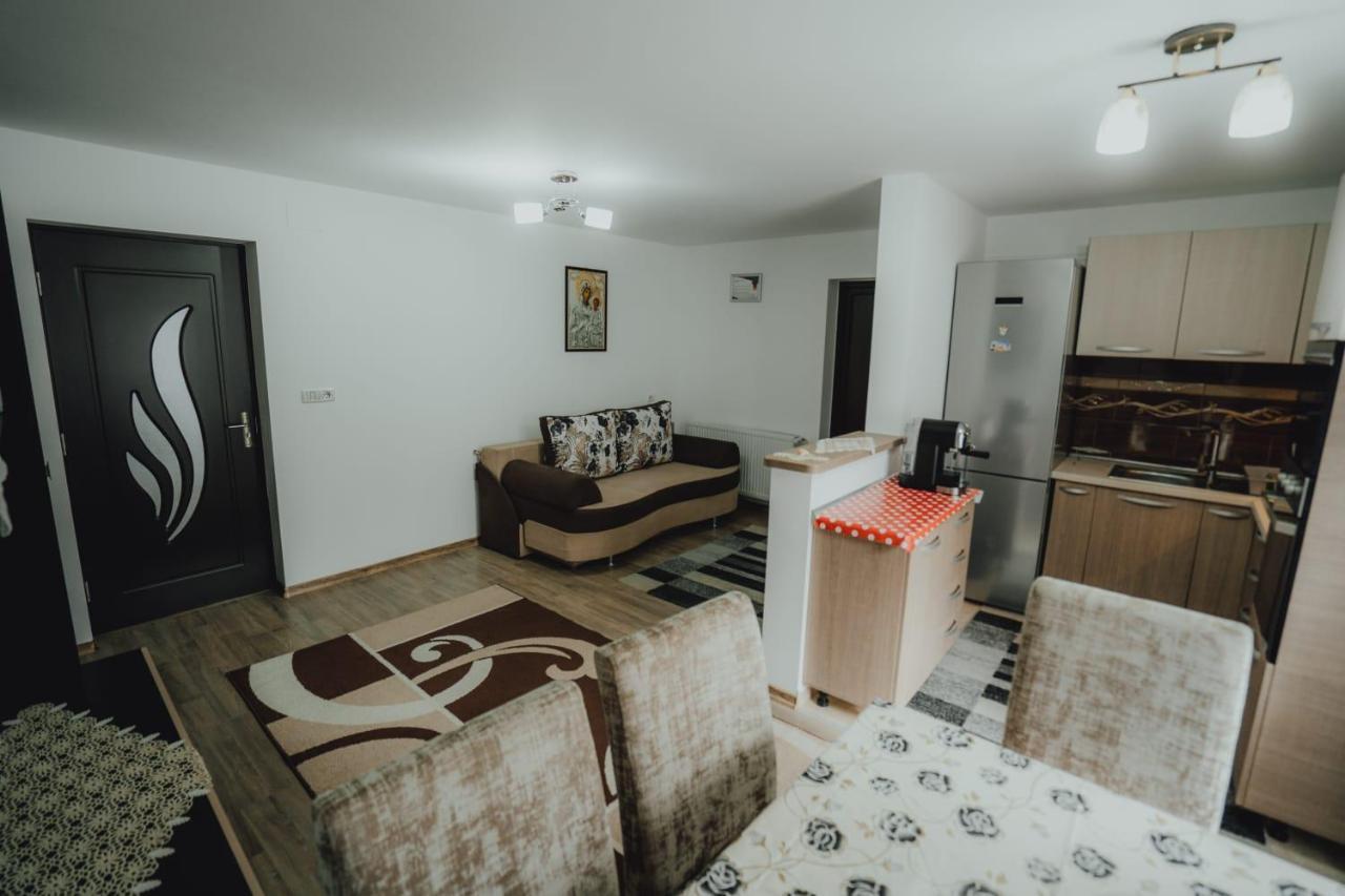 Casa Andreea Si Grigore Ursu Borşa エクステリア 写真