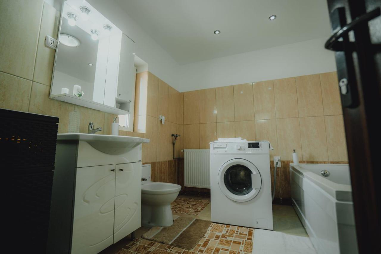 Casa Andreea Si Grigore Ursu Borşa エクステリア 写真