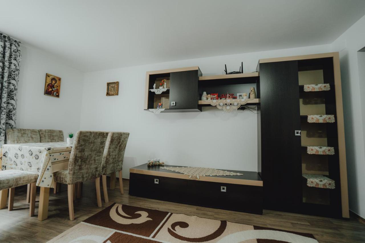 Casa Andreea Si Grigore Ursu Borşa エクステリア 写真
