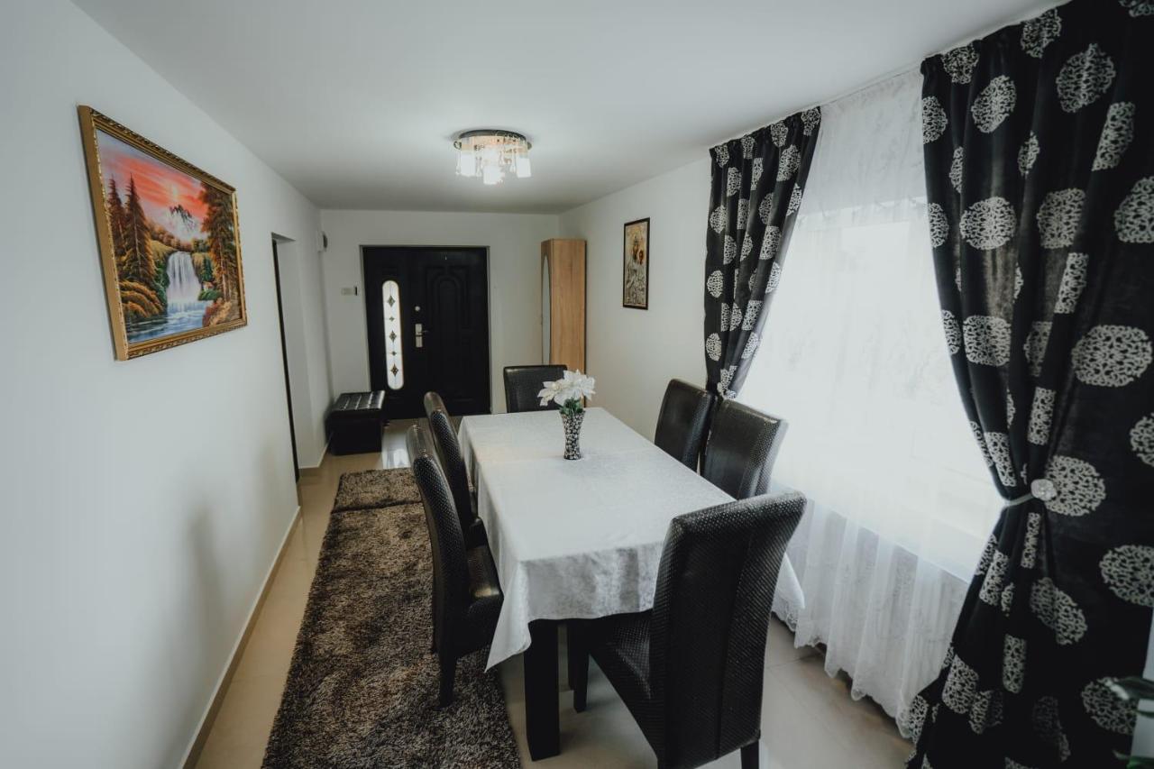Casa Andreea Si Grigore Ursu Borşa エクステリア 写真