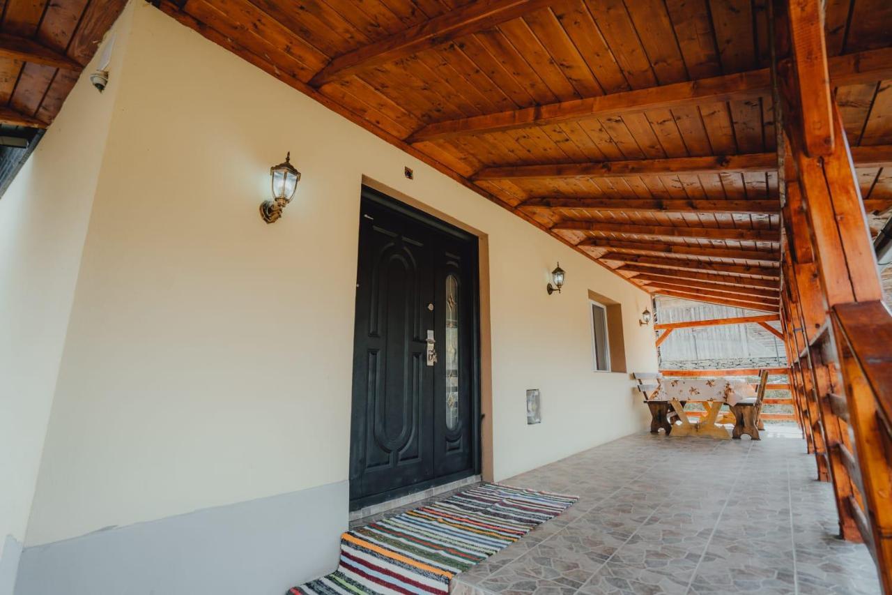 Casa Andreea Si Grigore Ursu Borşa エクステリア 写真