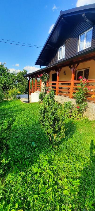 Casa Andreea Si Grigore Ursu Borşa エクステリア 写真