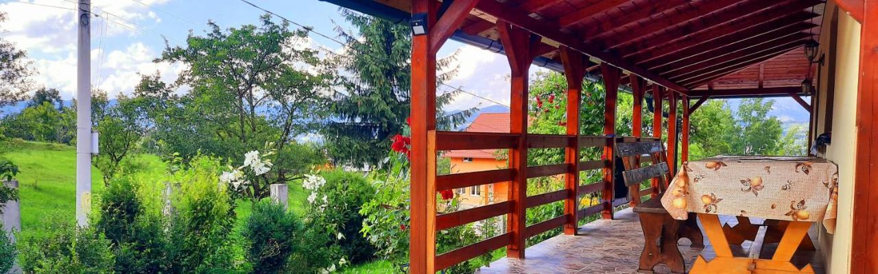 Casa Andreea Si Grigore Ursu Borşa エクステリア 写真